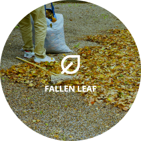 落葉清掃